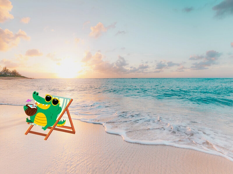 Cody tomando el sol en la playa
          